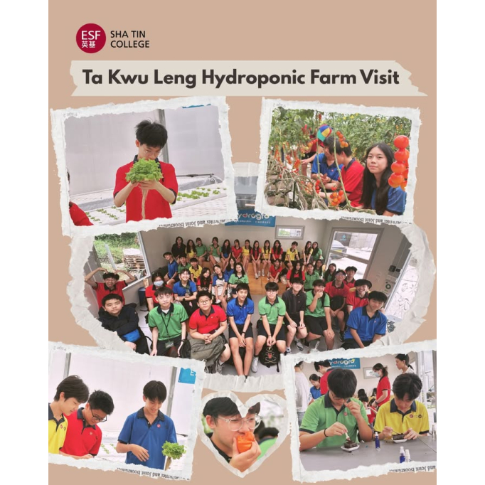 682385848_1431297945676958_276729679645927980_n