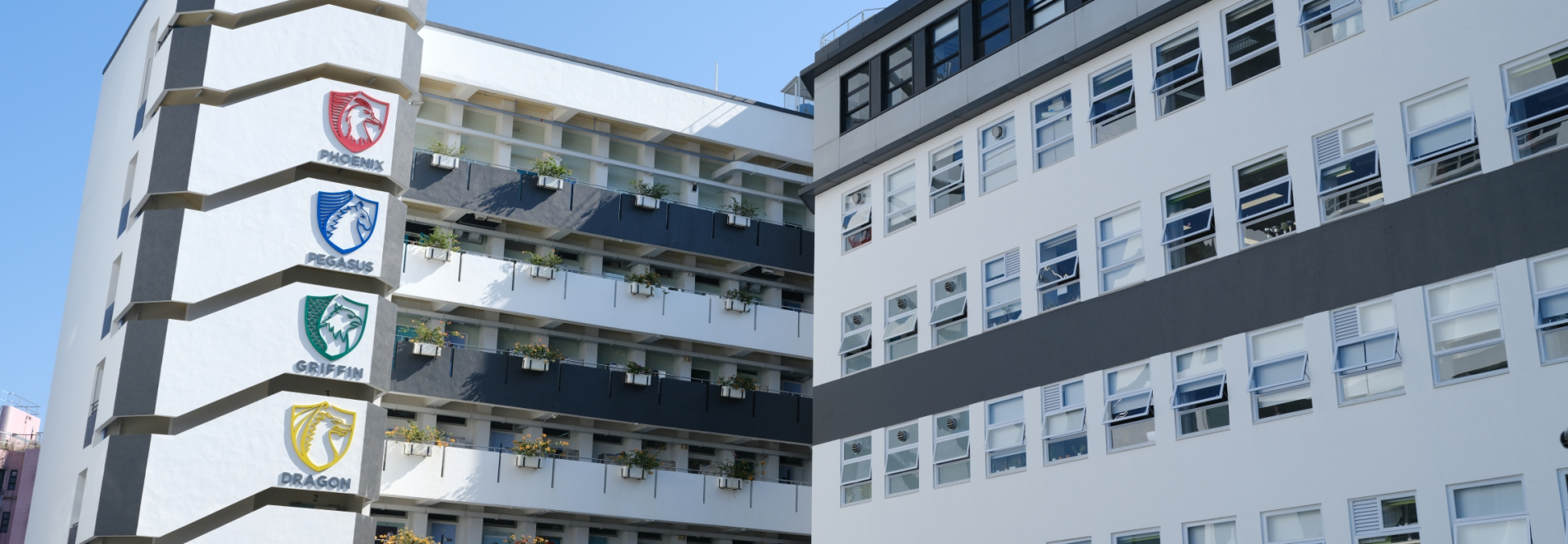 shatincolleage_0162