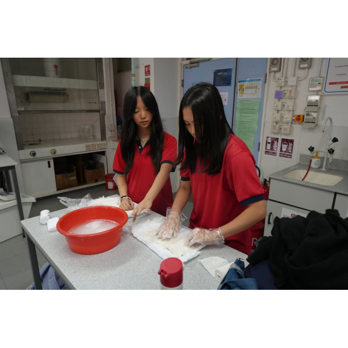 658906262_1404524335020986_1651712624344147075_n