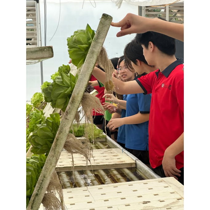 680418234_1431298109010275_8060323536924957269_n